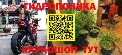 мяу мяу мука Новодвинск