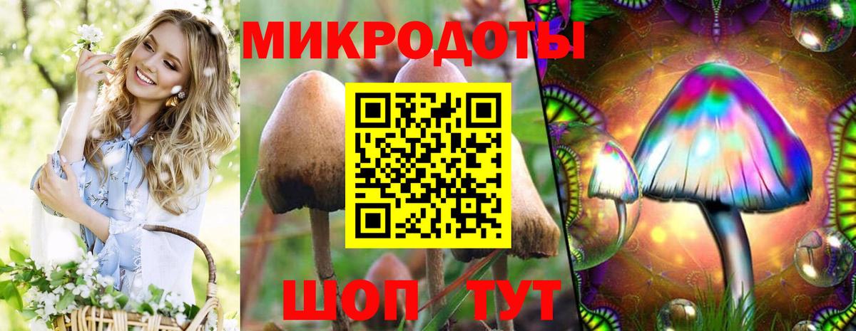 Галлюциногенные грибы Magic Shrooms Севастополь